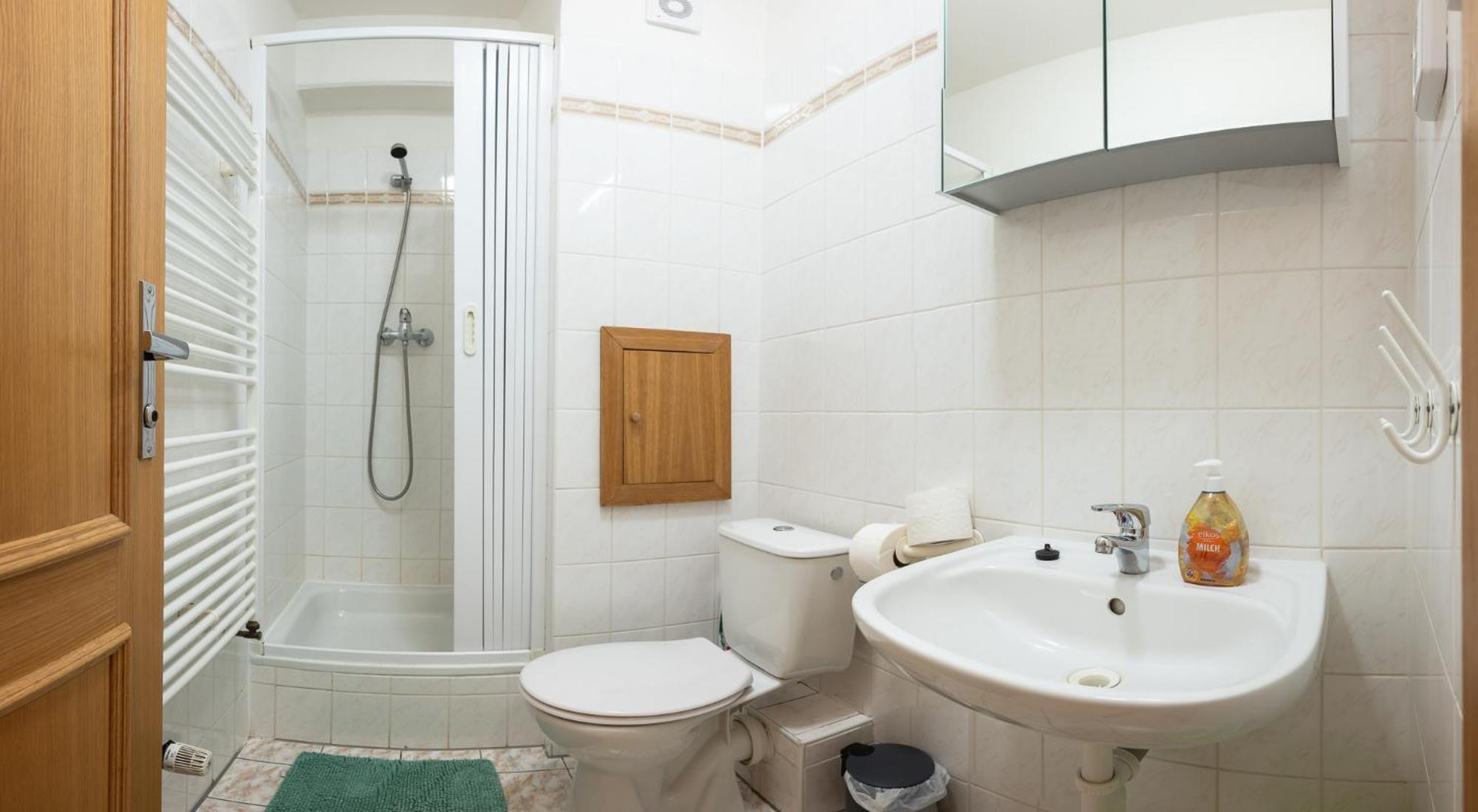 U Lanovky Apartment Jachymov